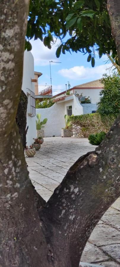 Voscenza Benerica Villa Vittoria Ngoại thất bức ảnh